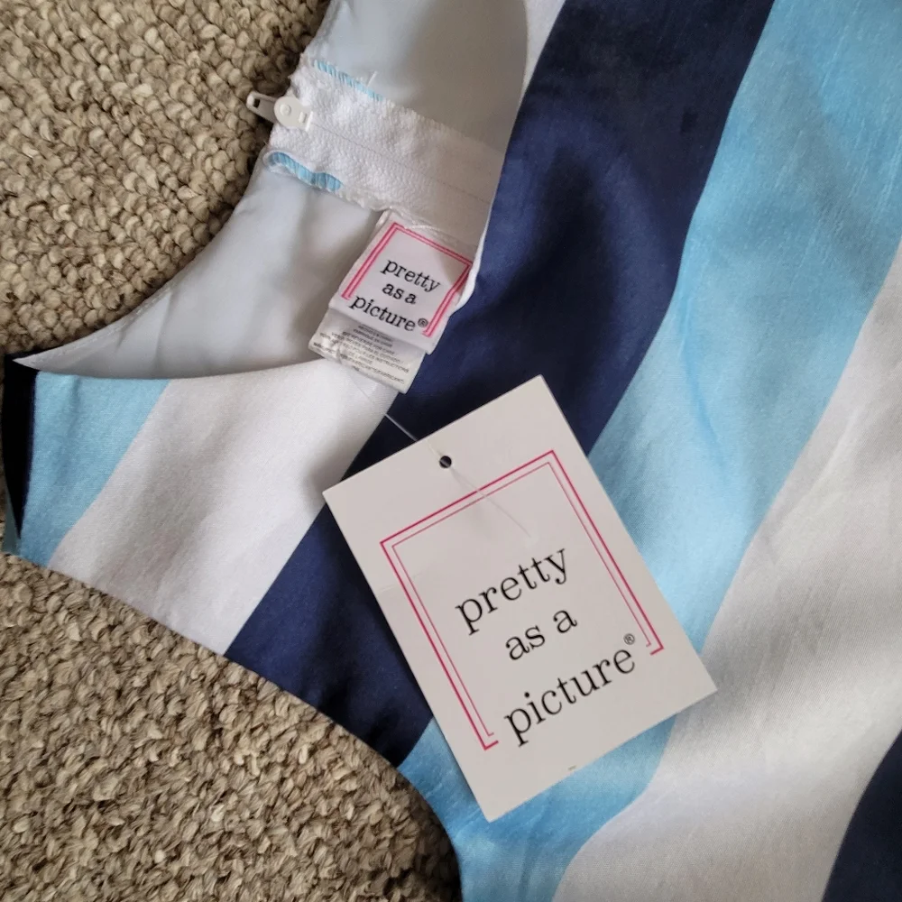 NWT Pretty As A Picture Blue and White Dress Size 12